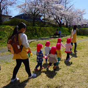 桜の木の下の芝生で、引率の大人と一緒に列になって歩く、赤い帽子をかぶった子供たち