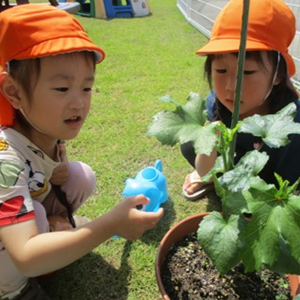2人の子供たちが、屋外で鉢植えの植物に水やりをしている。植物を覗き込んで様子を見ている