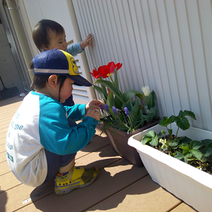 屋外のウッドデッキで、2人の幼児が鉢植えの植物を観察している。手前の幼児はしゃがんで青い花のそばに手を伸ばしており、後ろの幼児は白い壁に触れている。