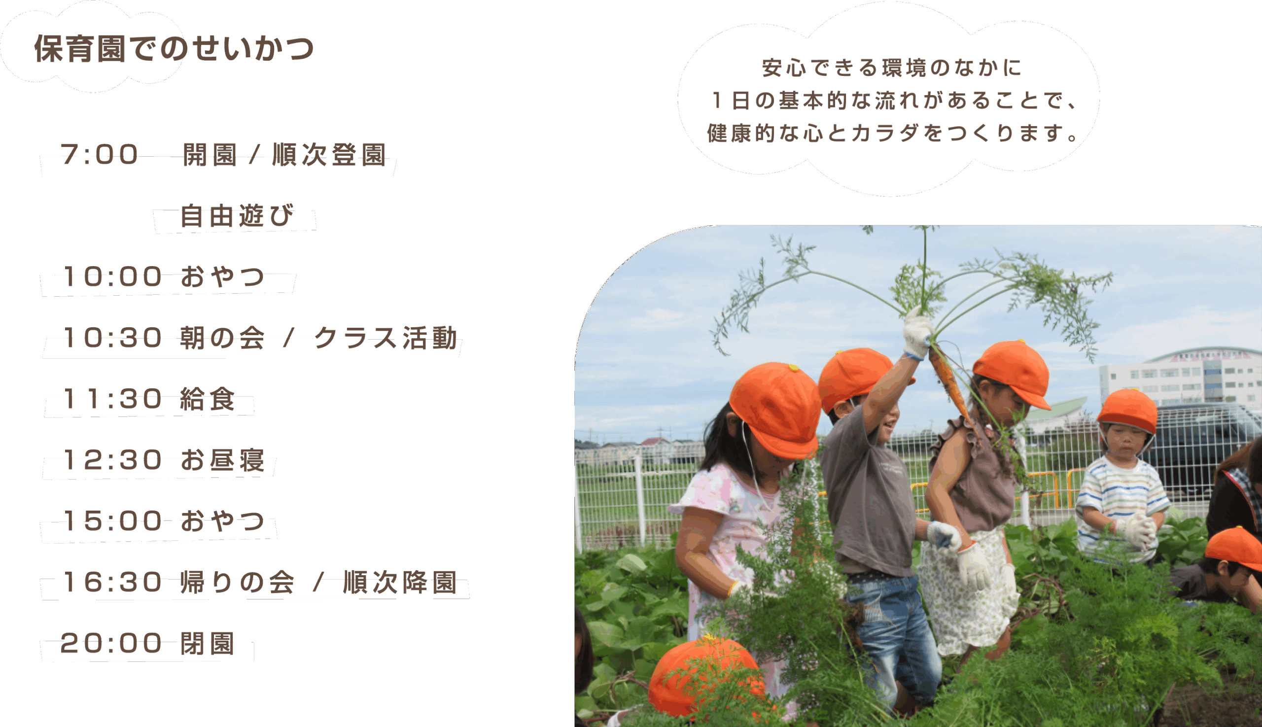 保育園でのせいかつ,
7:00 開園/順次登園・自由遊び、
10:00 おやつ、
10:30 朝の会/クラス活動、
11:30 給食、
12:30 お昼寝、
15:00 おやつ、
16:30 帰りの会/順次降園、
20:00閉園。
右上には雲形の図形の中に「安心できる環境のなかに1日の基本的な流れがあることで、健康的な心とカラダをつくります。」と書かれている。
右下にはオレンジ色の帽子をかぶった複数の子供たちが屋外で畑仕事をしている写真が配置されている。一人の子供は収穫した人参らしきものを持っている。