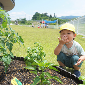 屋外で、黄色い帽子をかぶった男の子が、畑の植物のそばにしゃがみ込み、片手を口に当てている。背景には芝生や他の子供たちが遊ぶ様子が見える。