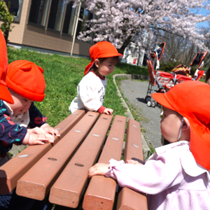満開の桜の木の下で、赤い帽子をかぶった子どもたちが木のベンチに集まって春の自然に触れている様子。