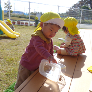 ぽかぽか陽気のウッドデッキで、黄色い帽子をかぶった赤ちゃんたちが飼育ケースの中を不思議そうに覗き込んでいる様子。