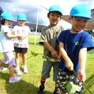 お揃いの青い帽子をかぶり、みんなで力を合わせて長い植物のつるを「うんとこしょ」と引っ張って遊ぶ子どもたち。